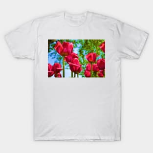 Red Tulips T-Shirt